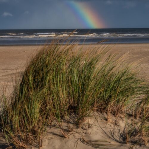 Manfred-Bellingrodt - Natur - Norderney Rainbow